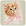 Avatar de RappeurPointeur