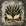 Avatar de Grumble495