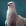 Avatar de Laour62